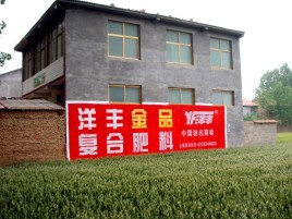 乐业如何让墙体广告展现最大化效果