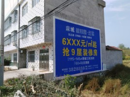 乐业墙体广告质量分析