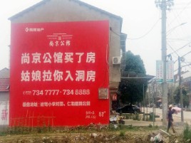 乐业墙体广告在乡镇、农村市场的媒体优势